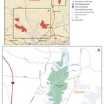 Cape Fear River Wetlands Game Land A overview Preview 1