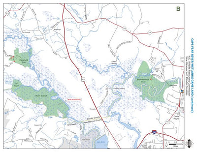 Cape Fear River Wetlands Game Land B Preview 1