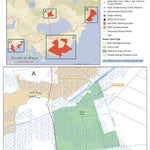 Gull Rock Game Land A overview Preview 1