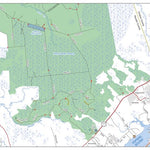 Holly Shelter Game Land B Preview 1