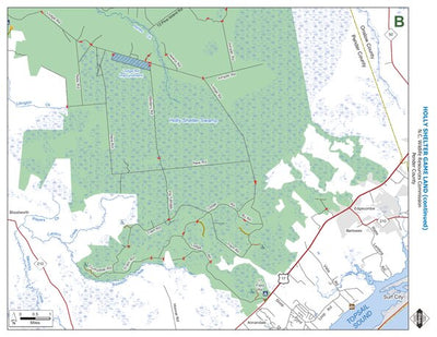 Holly Shelter Game Land B Preview 1