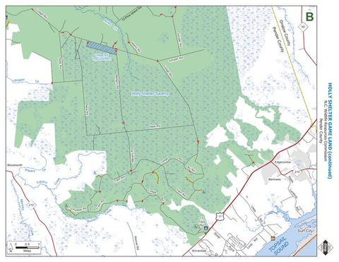 Holly Shelter Game Land B Preview 1