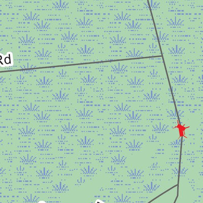 Holly Shelter Game Land B Preview 2