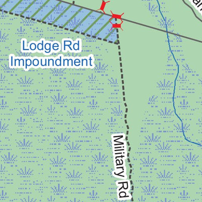 Holly Shelter Game Land B Preview 3