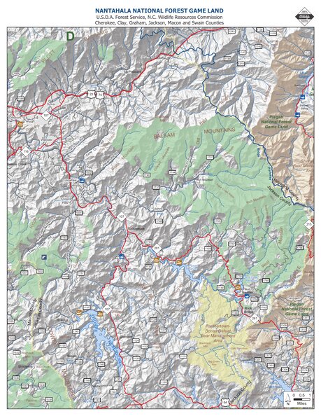 Nantahala Game Land D Preview 1