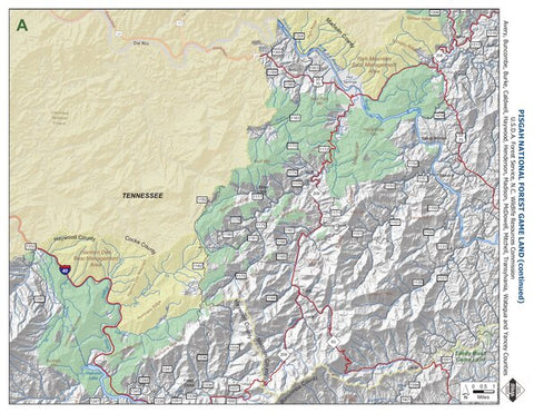 Pisgah Game Land A Preview 1