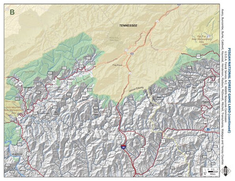 Pisgah Game Land B Preview 1