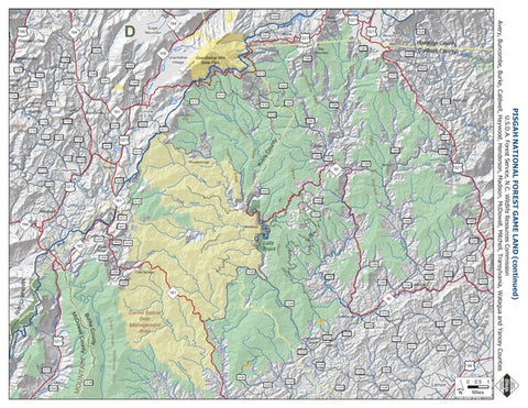 Pisgah Game Land D Preview 1