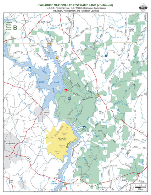Uwharrie Game Land B Preview 1