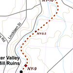 NY-002 Preview 2