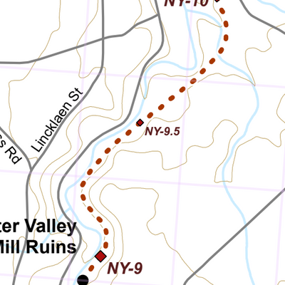 NY-002 Preview 2