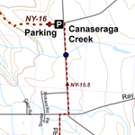 NY-003 Preview 2