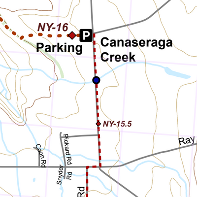 NY-003 Preview 2