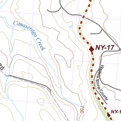 NY-003 Preview 3