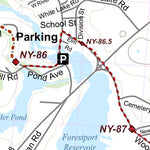 NY-013 Preview 3