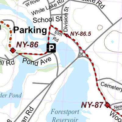 NY-013 Preview 3