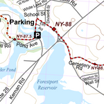 NY-013 Preview 3