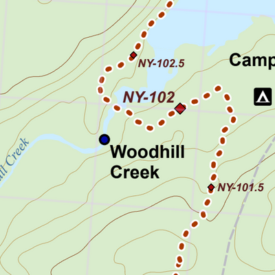 NY-016 Preview 3