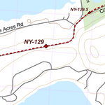 NY-020 Preview 2