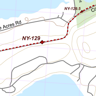 NY-020 Preview 2