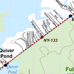 NY-021 Preview 3