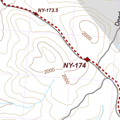 NY-027 Preview 3