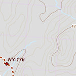 NY-028 Preview 2