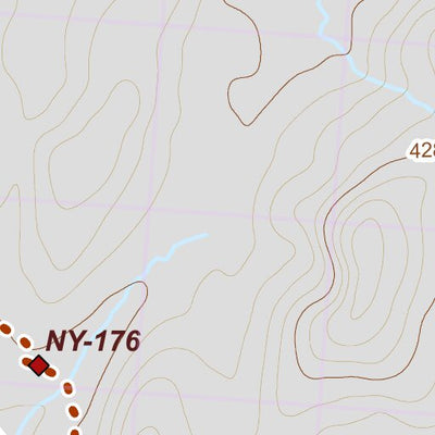 NY-028 Preview 2