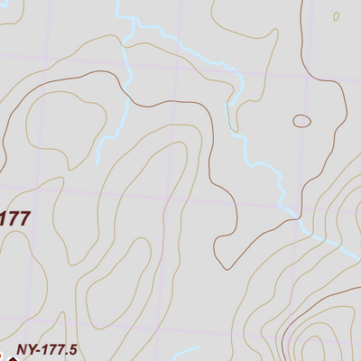 NY-028 Preview 2