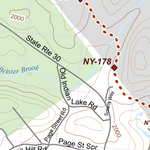 NY-028 Preview 3