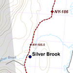 NY-029 Preview 2