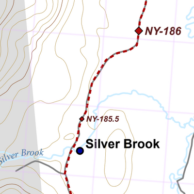 NY-029 Preview 2