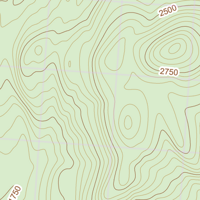 NY-030 Preview 3