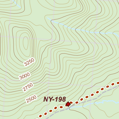 NY-031 Preview 3