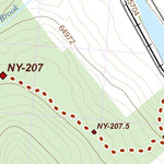 NY-033 Preview 3
