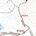 NY-035 Preview 3