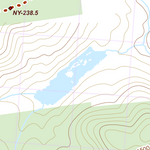 NY-038 Preview 2