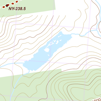 NY-038 Preview 2