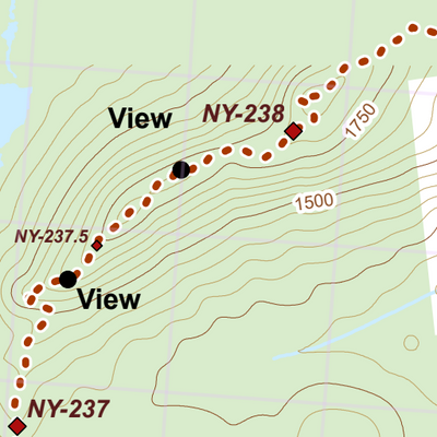 NY-038 Preview 3