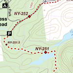 NY-039 Preview 3