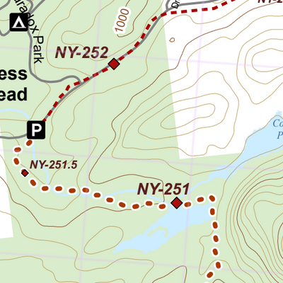NY-039 Preview 3