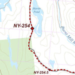 NY-040 Preview 2
