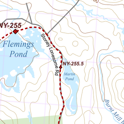 NY-040 Preview 2