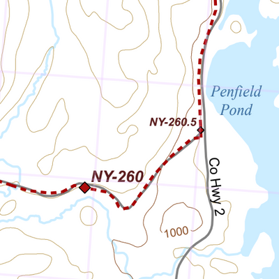 NY-041 Preview 2