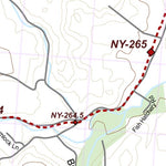 NY-042 Preview 3