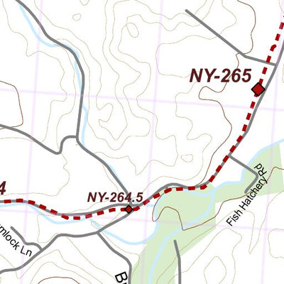 NY-042 Preview 3