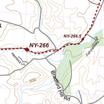 NY-042 Preview 3