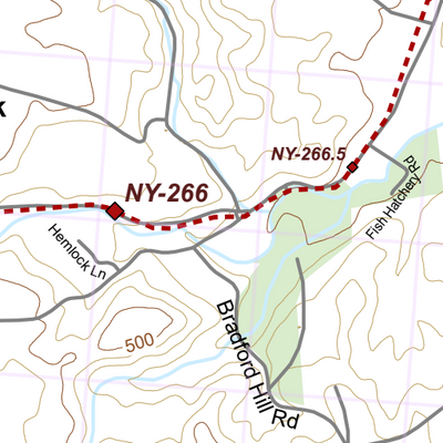 NY-042 Preview 3