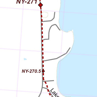 NY-043 Preview 2