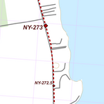 NY-043 Preview 2
